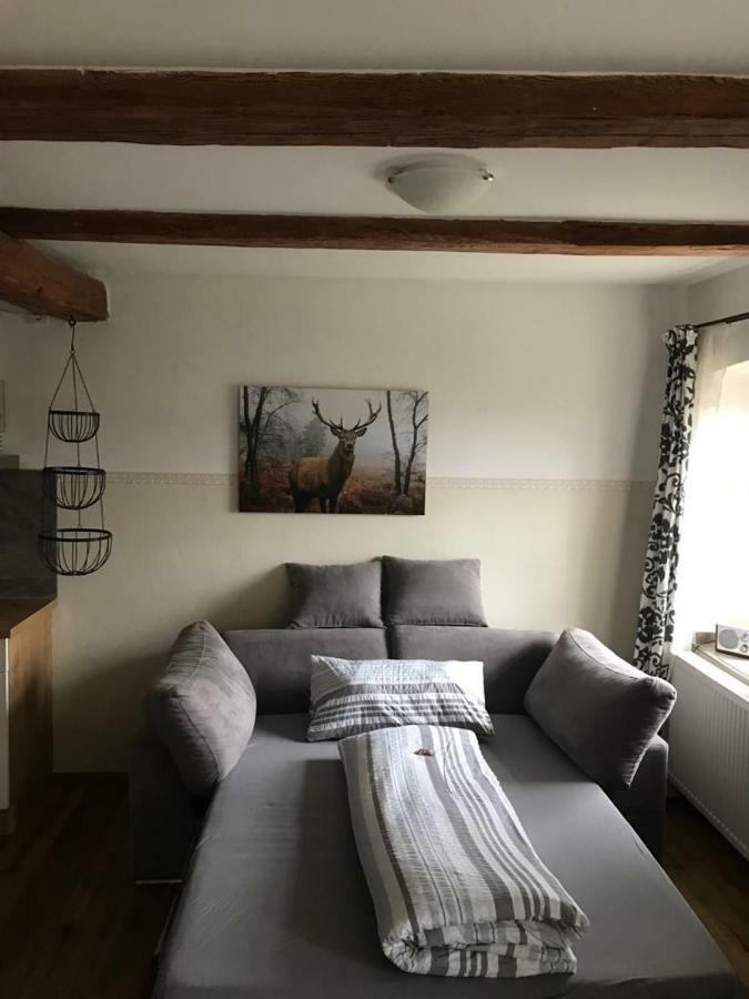 Gestuet Tiefenhof Apartment Nittenau Екстериор снимка